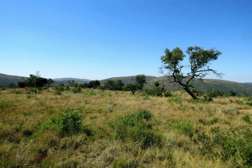 Vacant land for sale in Modimolle Rural - 1MM1383245