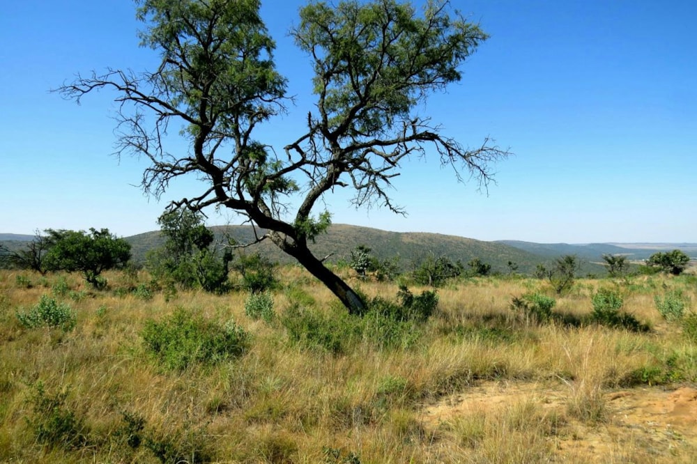 Vacant land for sale in Modimolle Rural - 1MM1383245