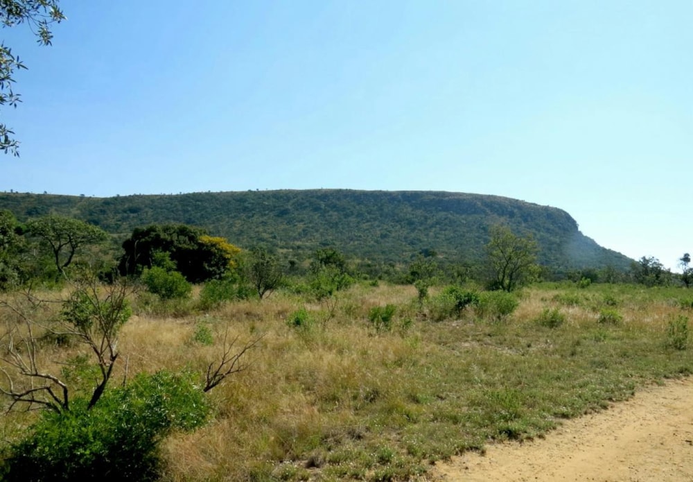 Vacant land for sale in Modimolle Rural - 1MM1383245