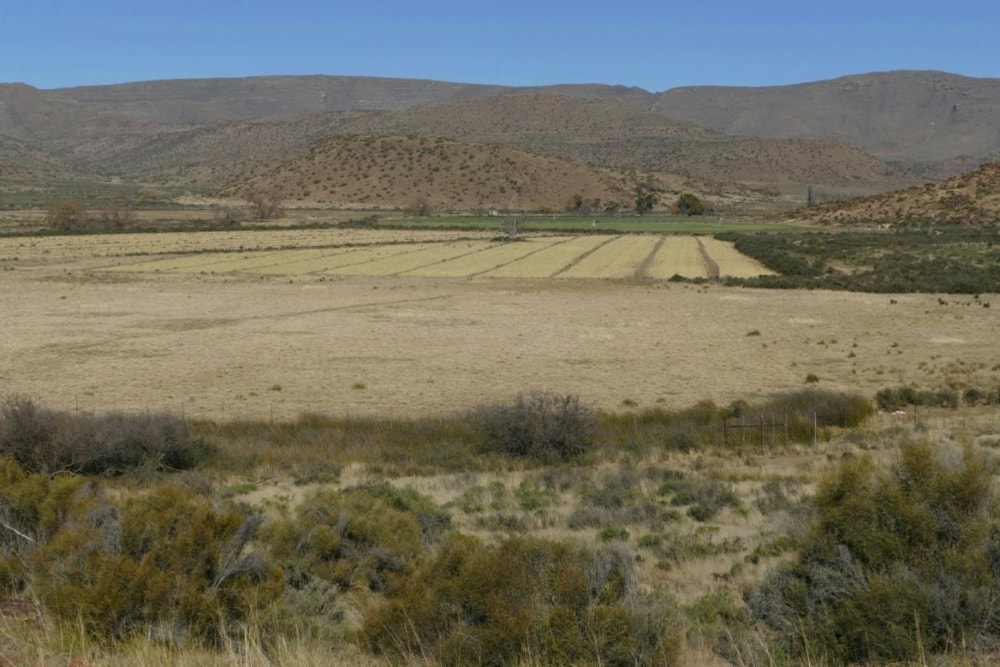 Livestock farm for sale in Middelburg - 1KK1384195