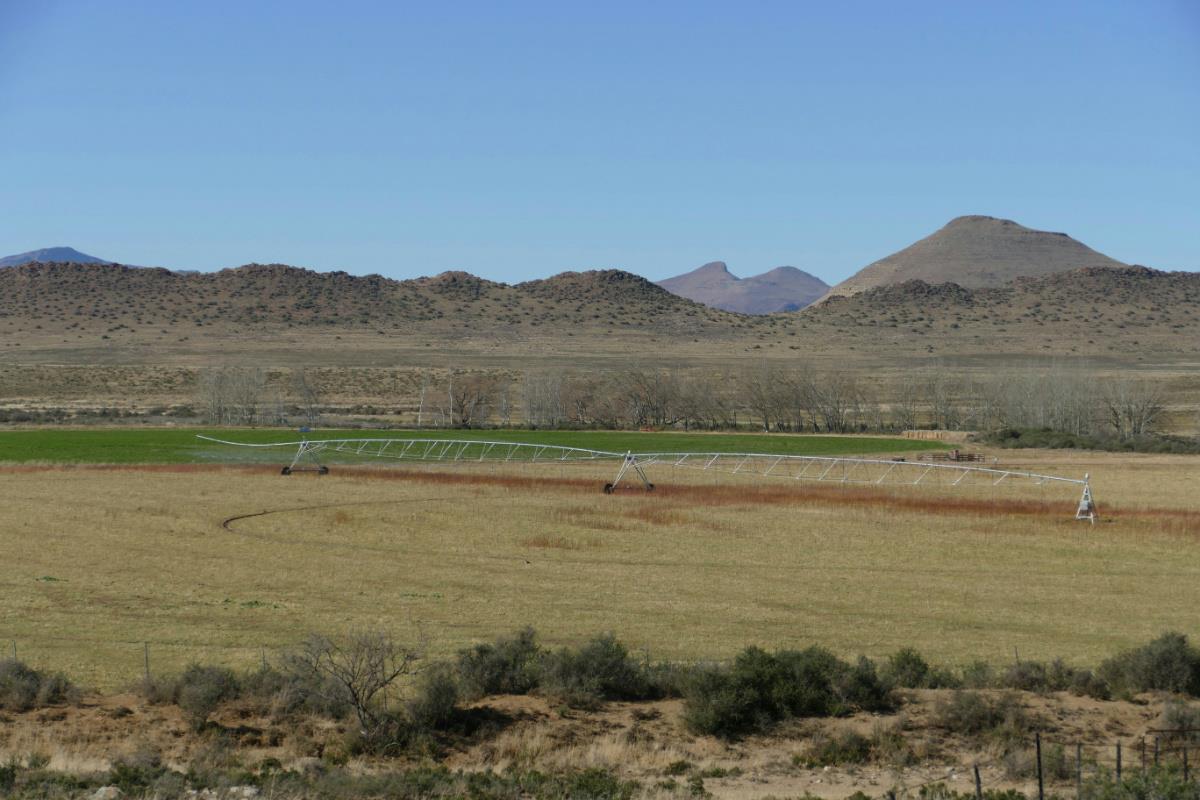 Livestock farm for sale in Middelburg - 1KK1384195