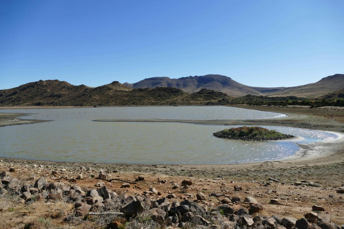 Livestock farm for sale in Middelburg - 1KK1384195