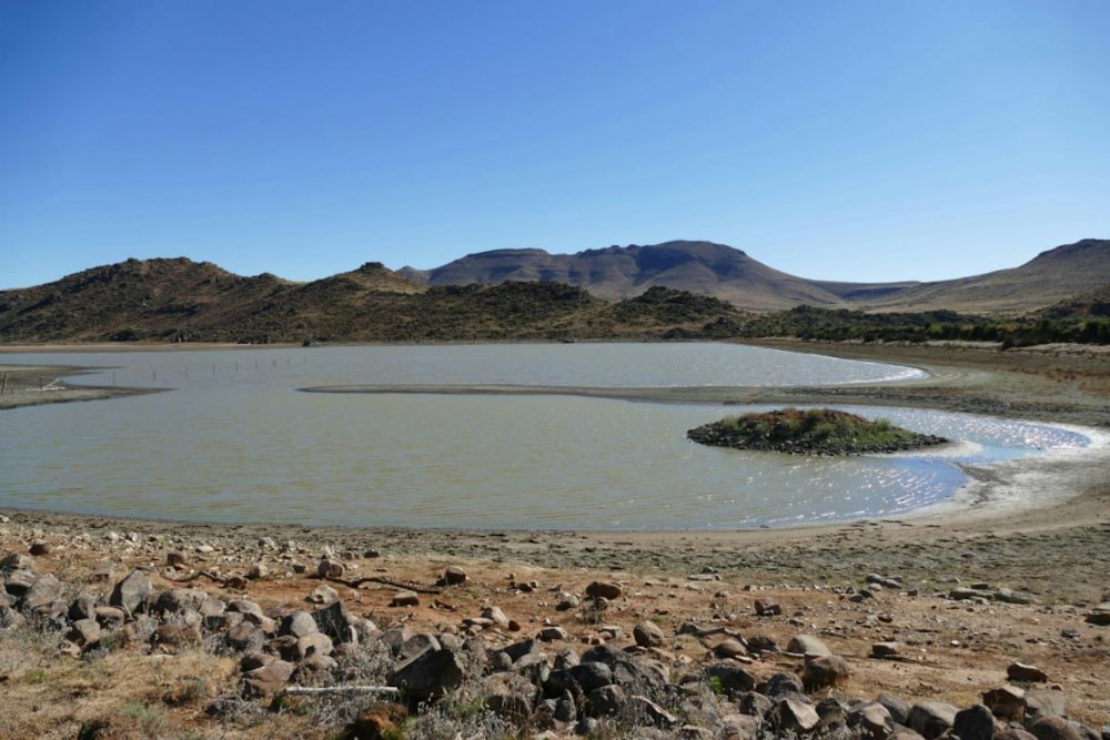 Livestock farm for sale in Middelburg - 1KK1384195