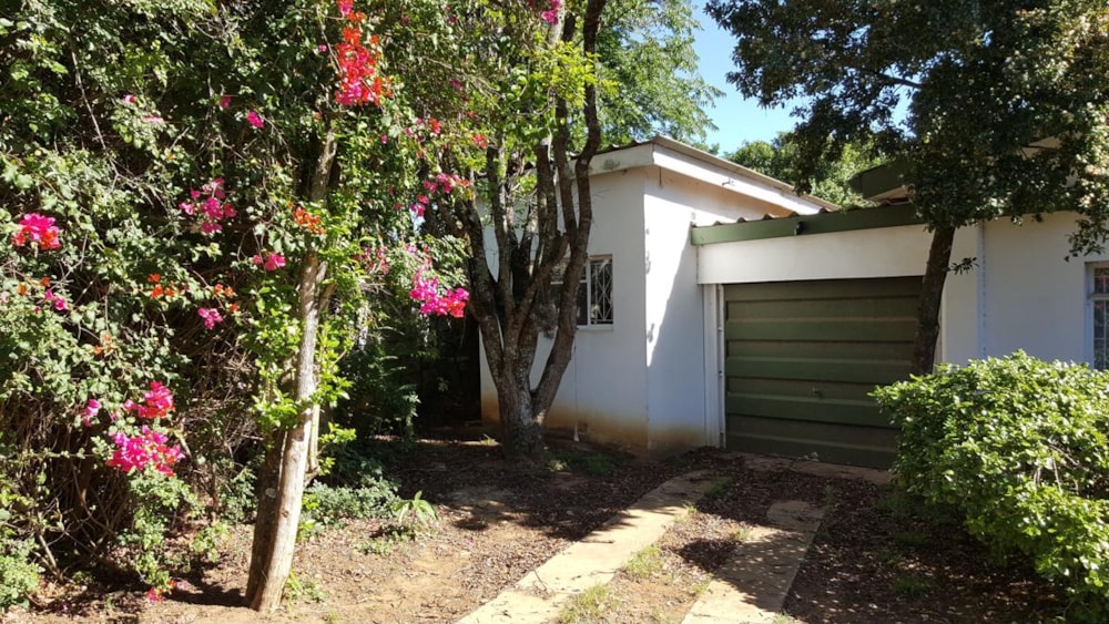 Bachelor apartment let in Oatlands, Grahamstown, Makhanda - 1GC1677654 Bachelor apartment let in Oatlands, Grahamstown, Makhanda - 1GC1677654