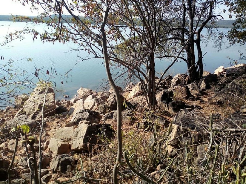 Vacant land for sale in Binga, Zimbabwe - 3ZB1385324