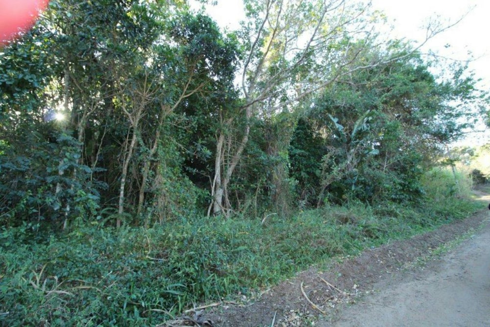 Residential vacant land for sale in Ramsgate - 1PD1385375 Residential vacant land for sale in Ramsgate - 1PD1385375