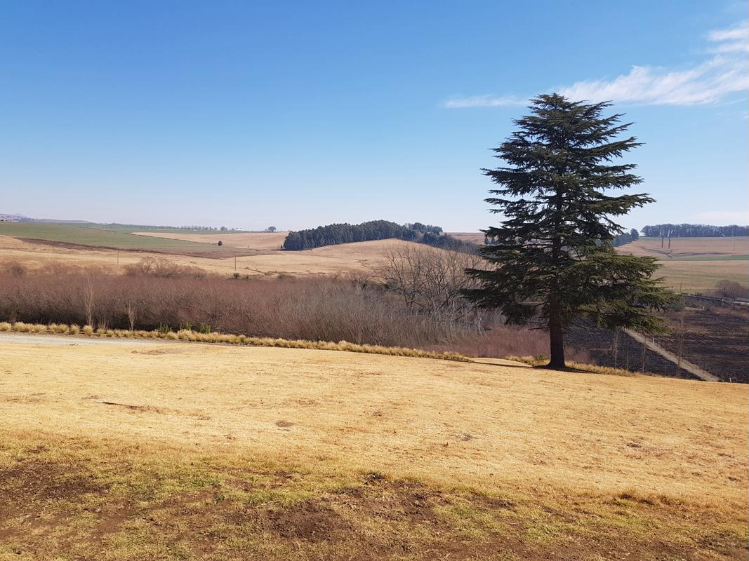 Apartment for sale in Rosetta - 1PM1391258