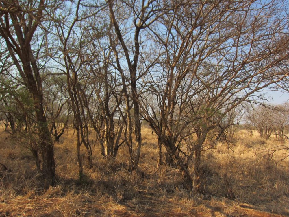 Residential vacant land for sale in Northam - 1ER1394763