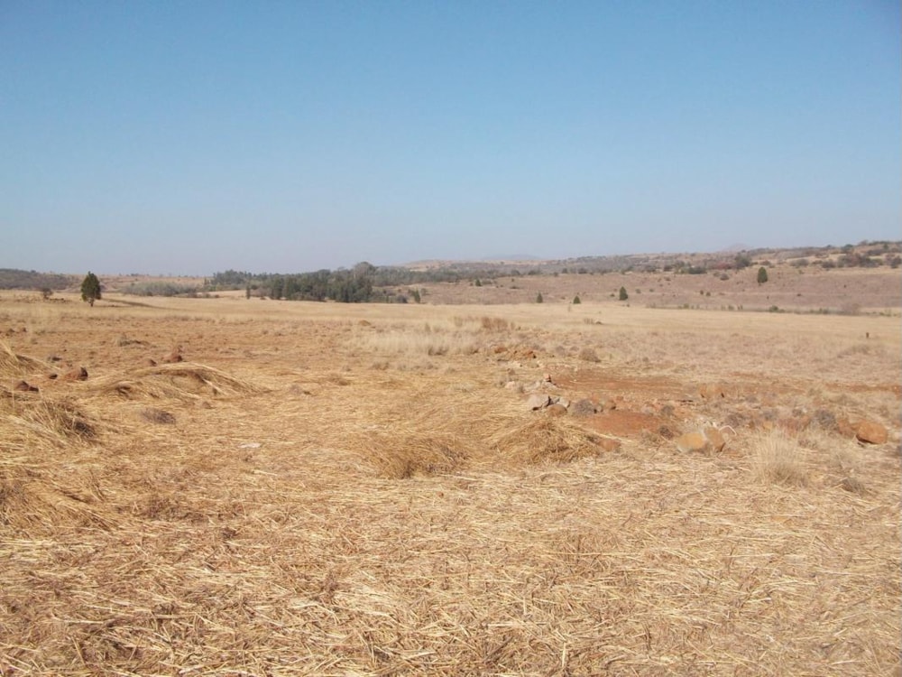 Farm vacant land for sale in Lydenburg (Mashishing) - 1LY1397201
