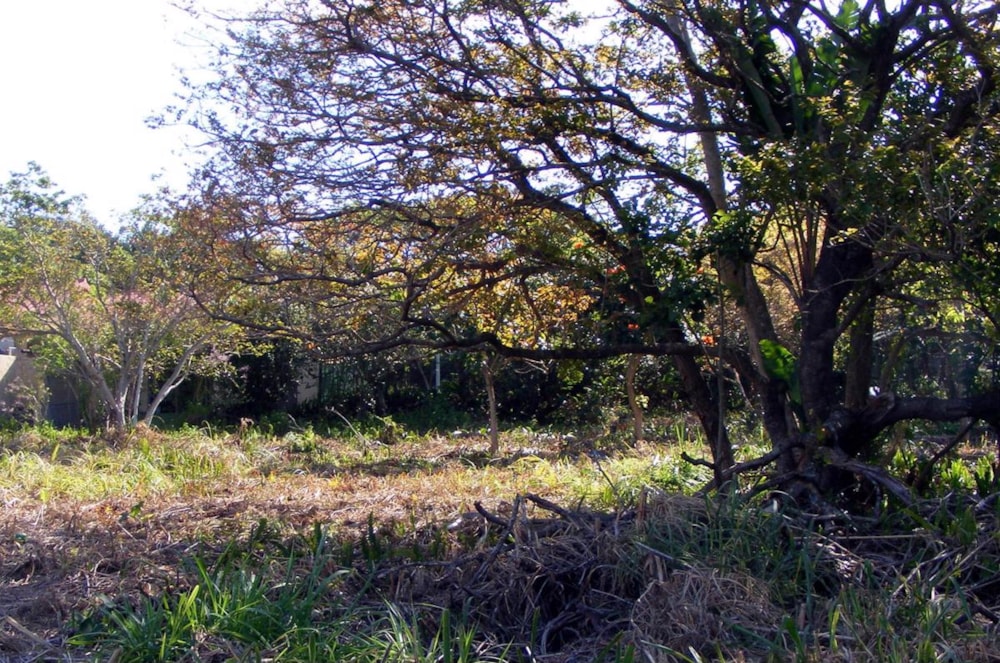 Residential vacant land for sale in Port Edward - 1PD1398581