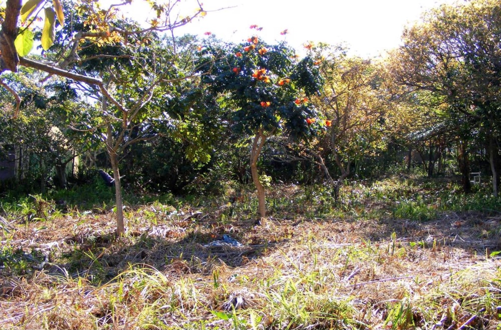 Residential vacant land for sale in Port Edward - 1PD1398581