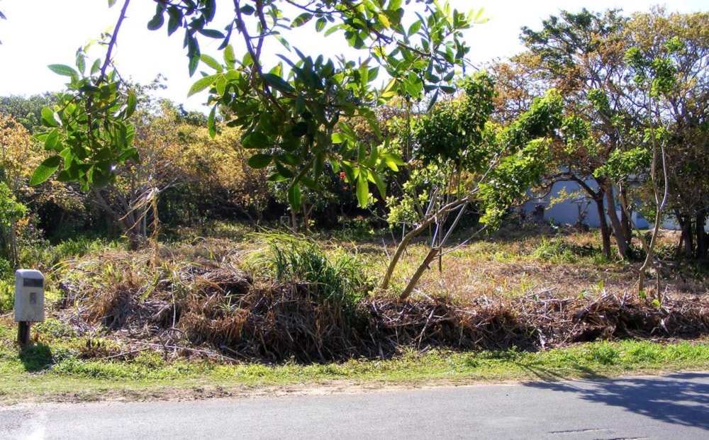 Residential vacant land for sale in Port Edward - 1PD1398581