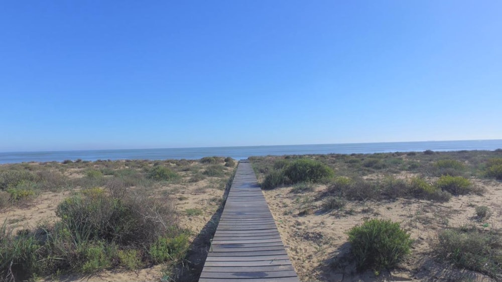 Vacant land for sale in Laaiplek - LA1401713 Vacant land for sale in Laaiplek - LA1401713