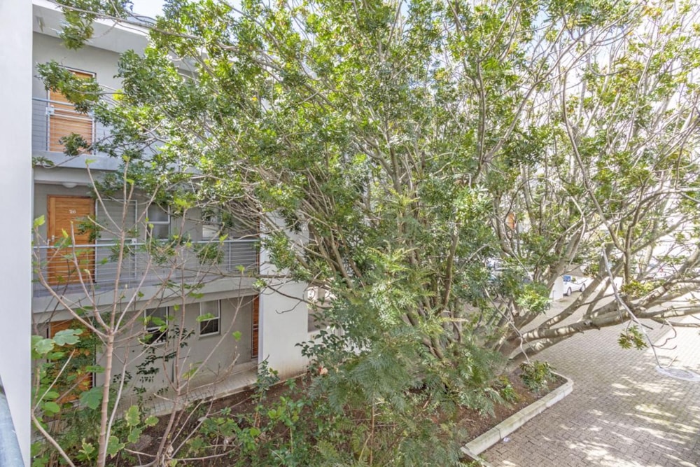 Bachelor apartment to rent in Stellenbosch Central - STL1720527