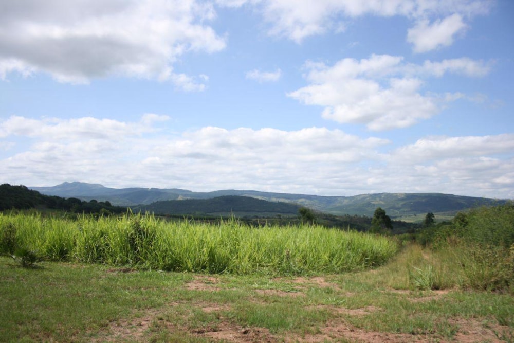 Mixed use farm for sale in Nelspruit (Mbombela) - 1NS1222618 Mixed use farm for sale in Nelspruit (Mbombela) - 1NS1222618