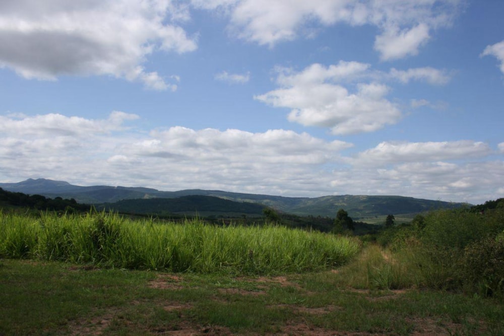 Mixed use farm for sale in Nelspruit (Mbombela) - 1NS1222618 Mixed use farm for sale in Nelspruit (Mbombela) - 1NS1222618