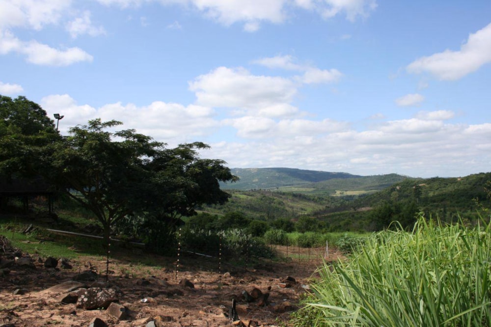 Mixed use farm for sale in Nelspruit (Mbombela) - 1NS1222618 Mixed use farm for sale in Nelspruit (Mbombela) - 1NS1222618