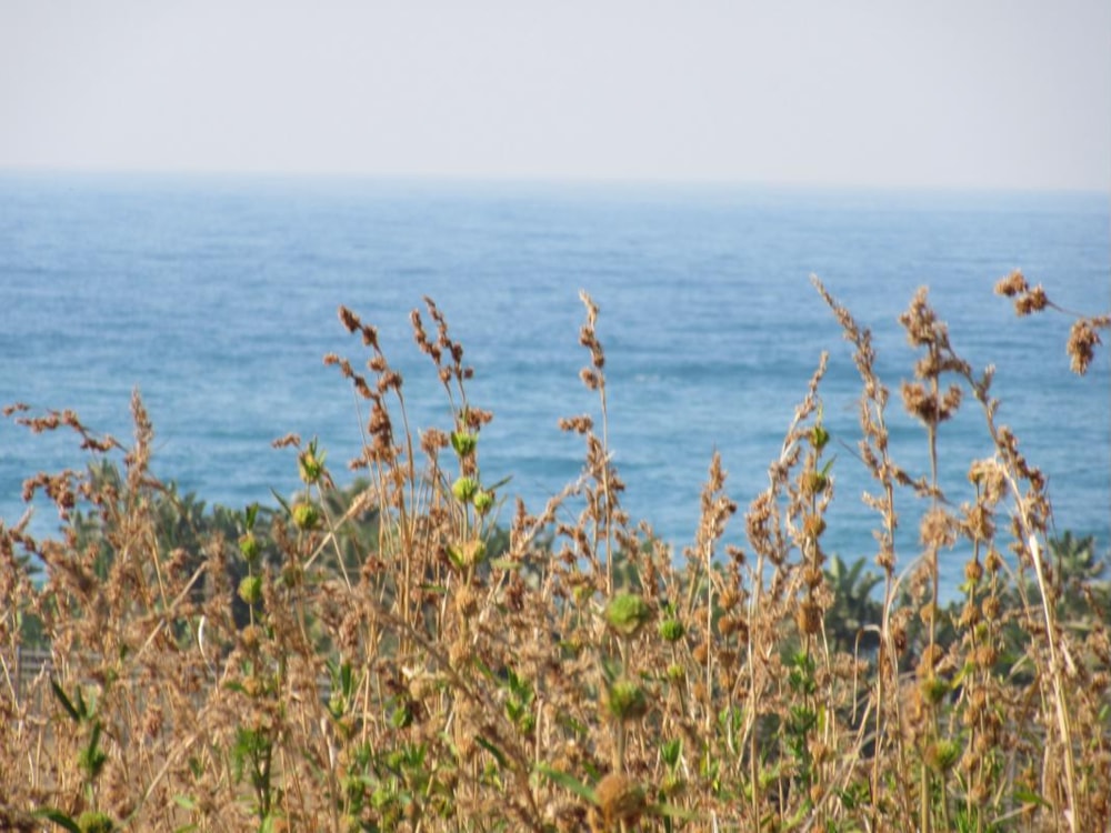 Residential vacant land for sale in Leisure Bay - 1PD1341430