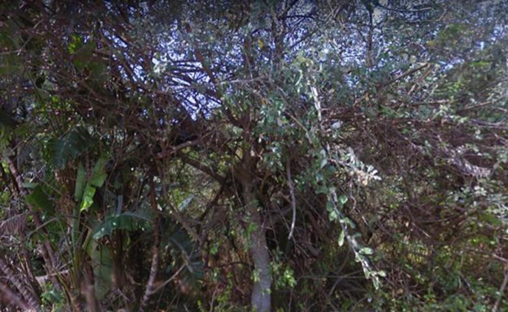 Vacant land for sale in Leisure Bay - 1PD1401538 Vacant land for sale in Leisure Bay - 1PD1401538