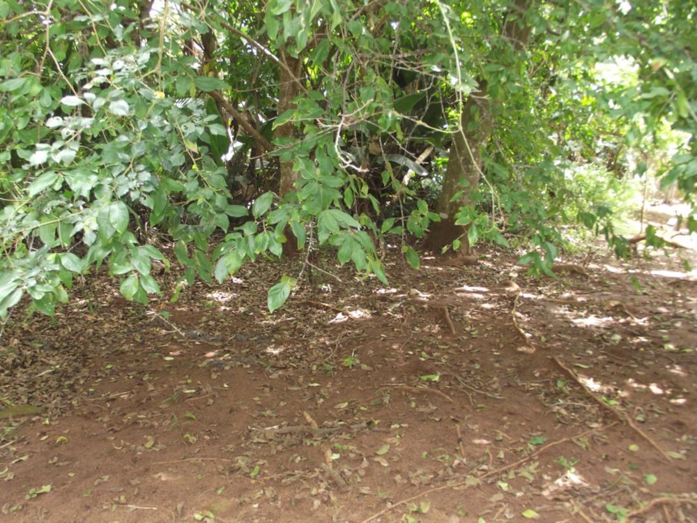 Vacant land for sale in Marina Beach - 1PD1403231 Vacant land for sale in Marina Beach - 1PD1403231