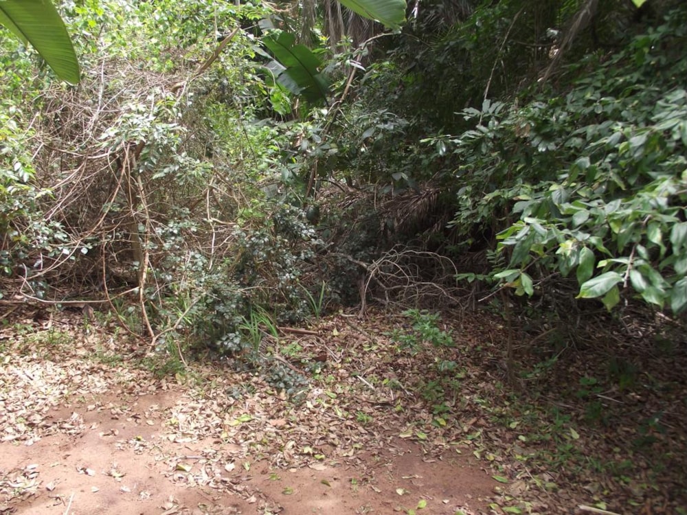 Vacant land for sale in Marina Beach - 1PD1403231 Vacant land for sale in Marina Beach - 1PD1403231