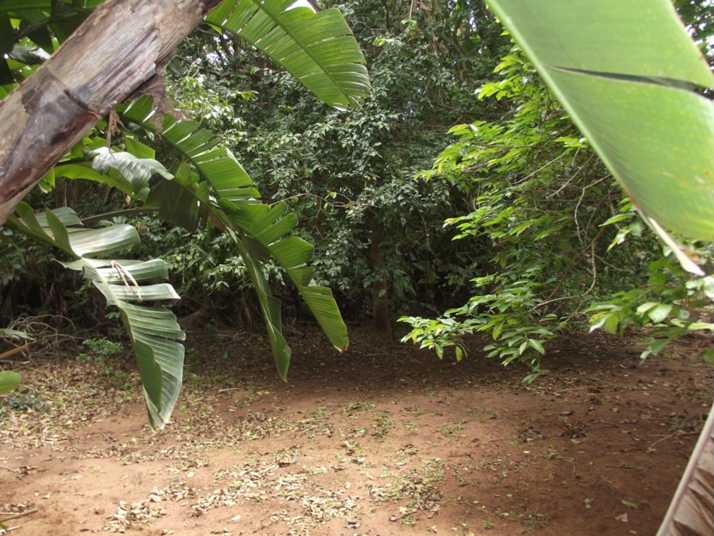 Vacant land for sale in Marina Beach - 1PD1403231 Vacant land for sale in Marina Beach - 1PD1403231