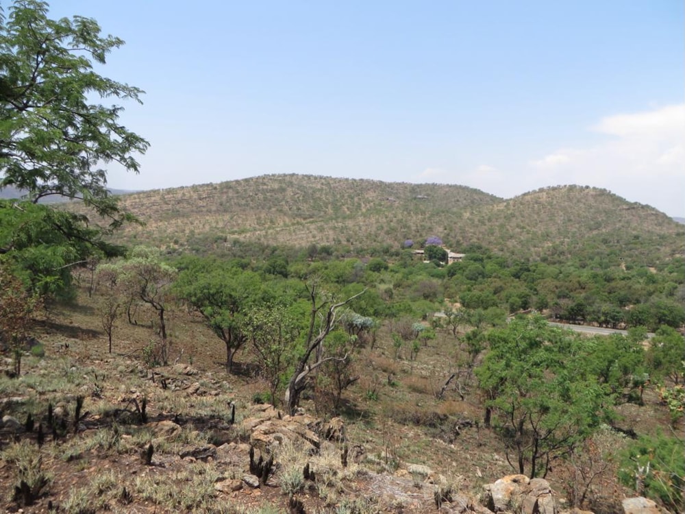 Smallholding for sale in Kalkheuvel - 1HR1403277 Smallholding for sale in Kalkheuvel - 1HR1403277