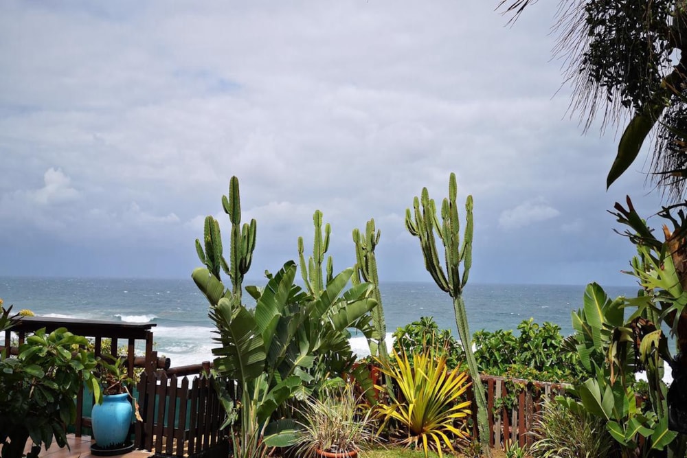 House for sale in Amanzimtoti - 1WB1638700 House for sale in Amanzimtoti - 1WB1638700