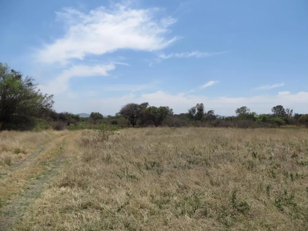 Smallholding for sale in Zilkaatsnek AH - 1HR1405150