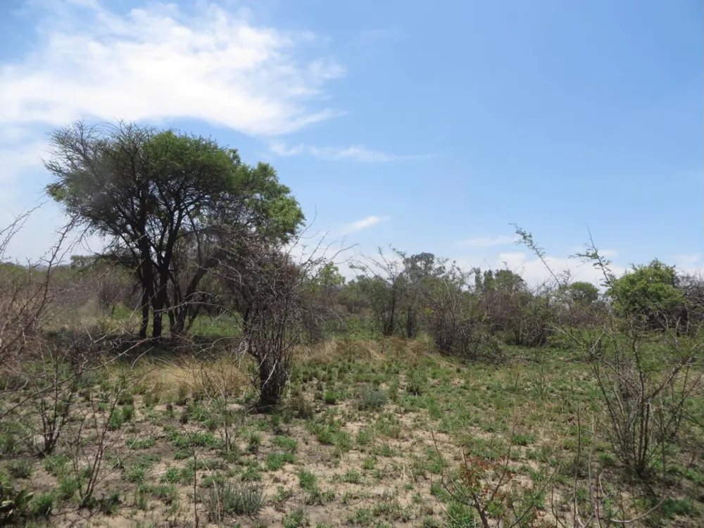 Smallholding for sale in Zilkaatsnek AH - 1HR1405150