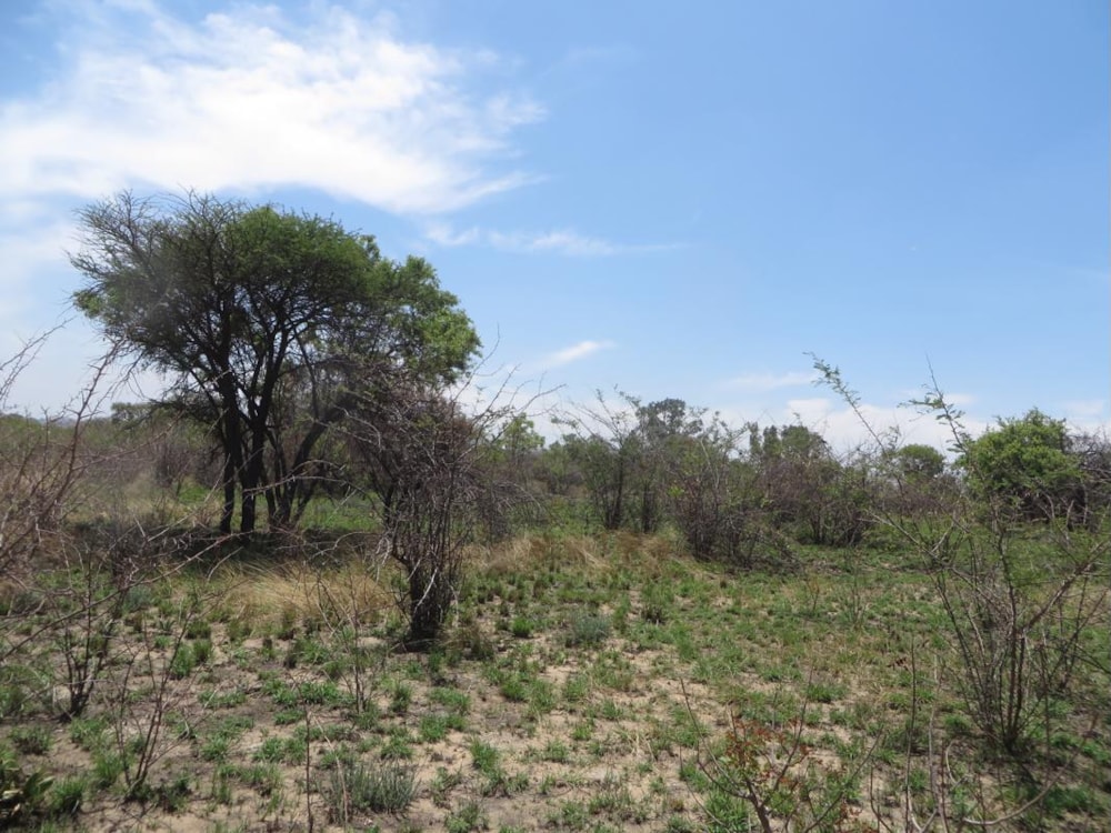 Smallholding for sale in Zilkaatsnek AH - 1HR1405150