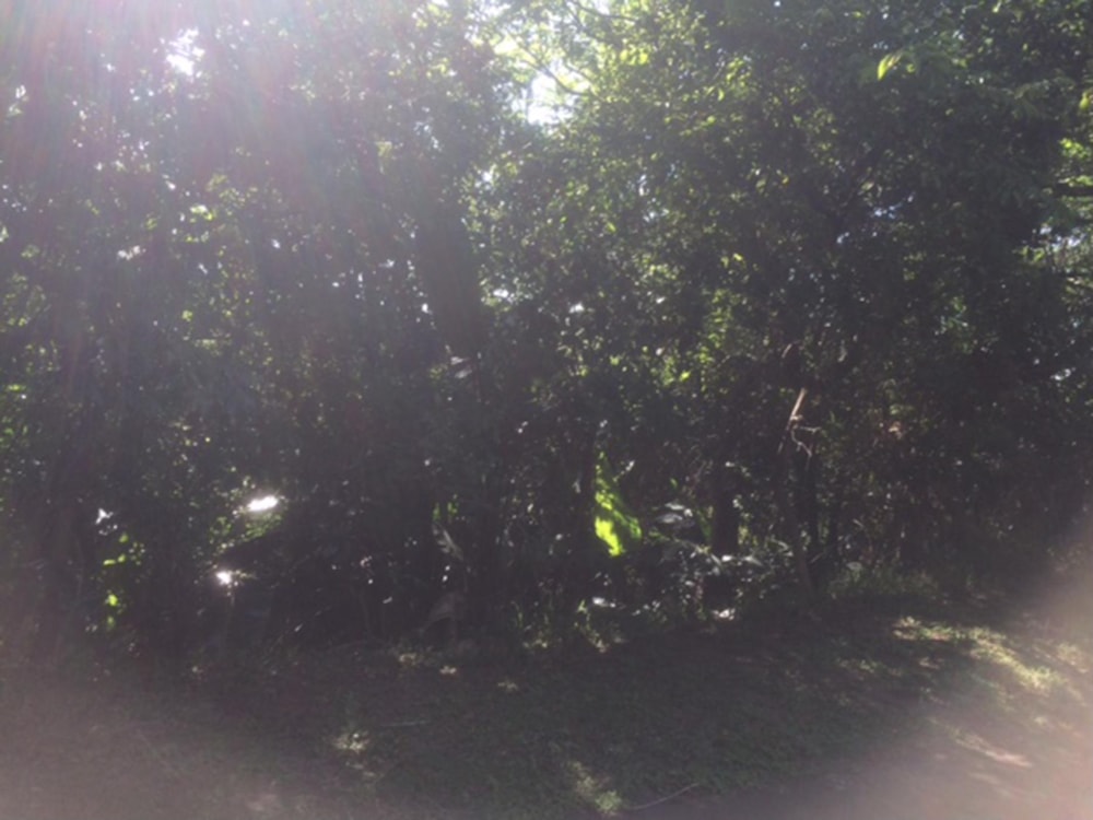 Vacant land for sale in Southbroom - 1PD1405903