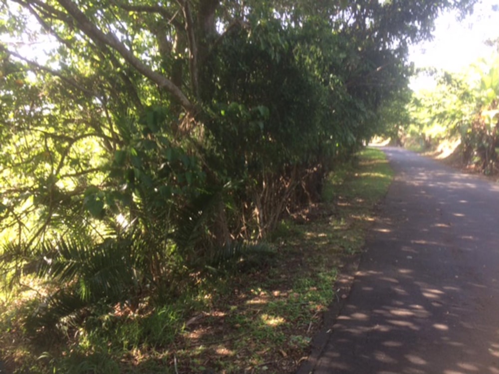 Vacant land for sale in Southbroom - 1PD1405903