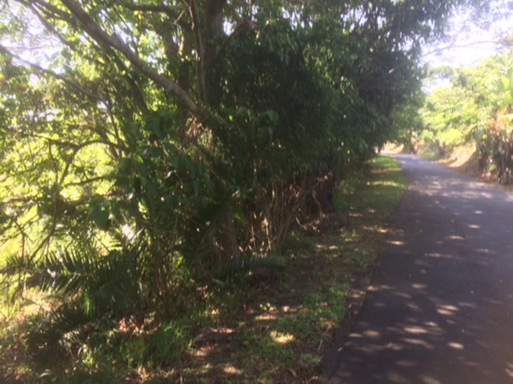 Vacant land for sale in Southbroom - 1PD1405903 Vacant land for sale in Southbroom - 1PD1405903