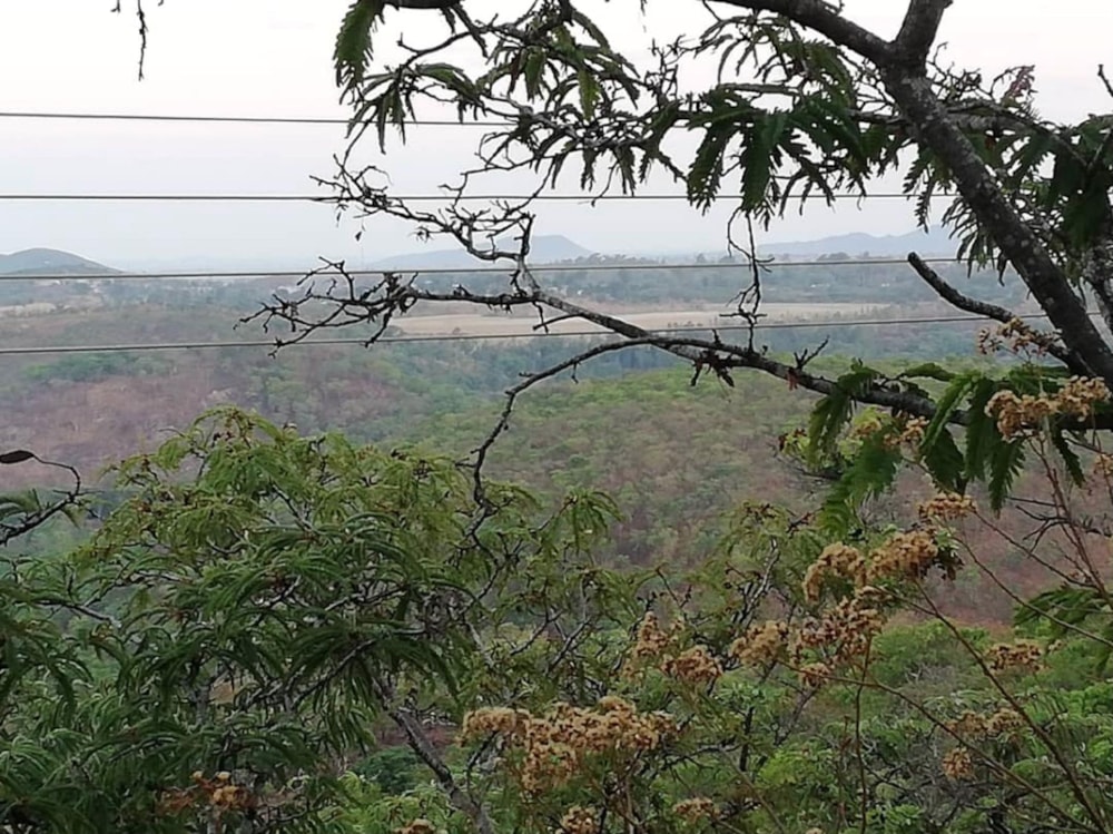 Vacant land for sale in Mashonaland East, Zimbabwe - 3ZB1407429 Vacant land for sale in Mashonaland East, Zimbabwe - 3ZB1407429