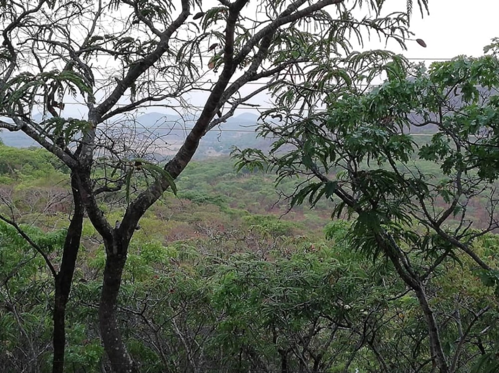 Vacant land for sale in Mashonaland East, Zimbabwe - 3ZB1407429 Vacant land for sale in Mashonaland East, Zimbabwe - 3ZB1407429