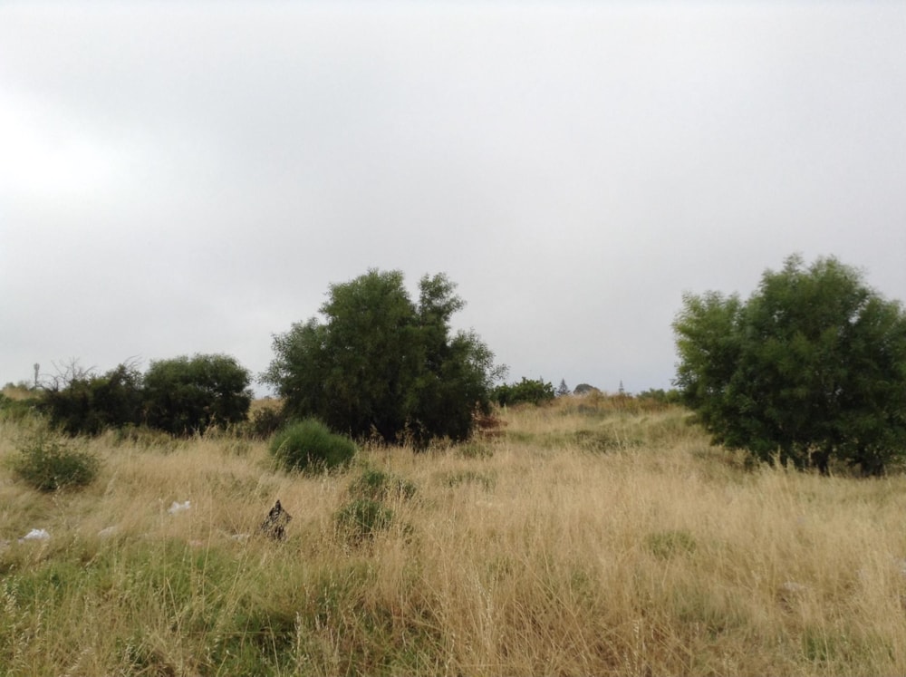 Farm vacant land for sale in Weltevreden Valley - 1MN1634356