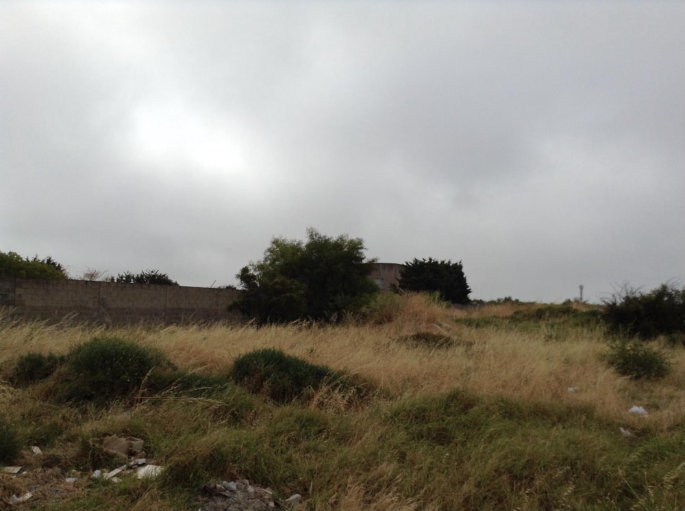 Farm vacant land for sale in Weltevreden Valley - 1MN1634356