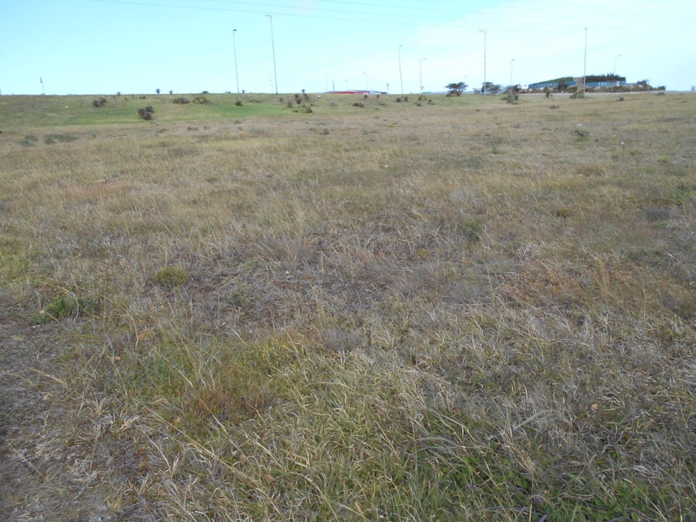 Commercial vacant land for sale in Jeffreys Bay - 1JF1410161