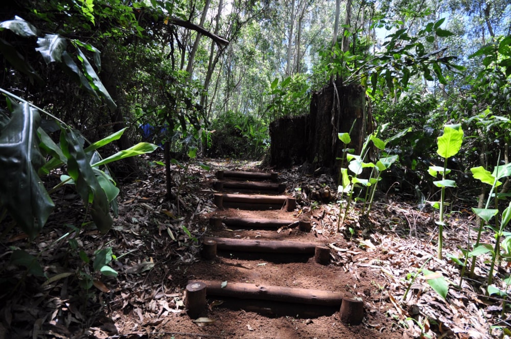 Vacant land for sale in Hilton Central - 1PM1531310 Vacant land for sale in Hilton Central - 1PM1531310