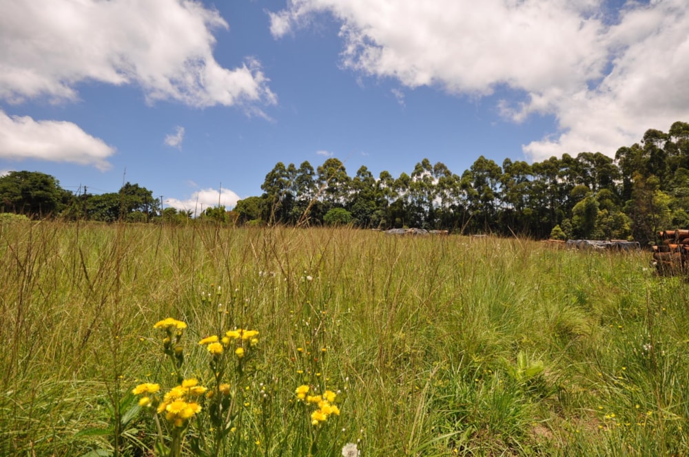 Vacant land for sale in Hilton Central - 1PM1531310 Vacant land for sale in Hilton Central - 1PM1531310