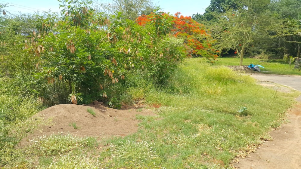 Vacant land for sale in Malelane - 1NK1413962 Vacant land for sale in Malelane - 1NK1413962