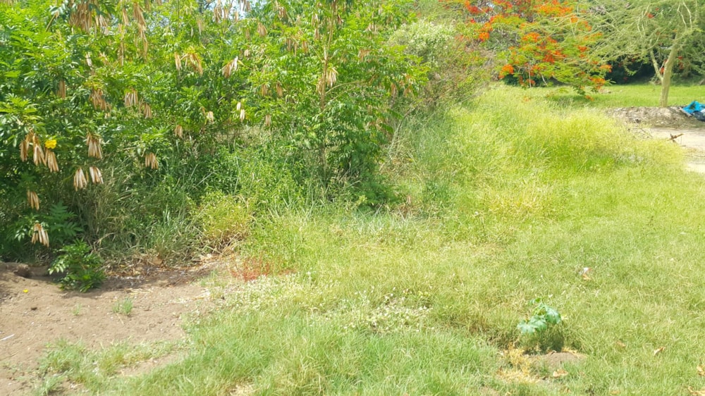 Vacant land for sale in Malelane - 1NK1413962 Vacant land for sale in Malelane - 1NK1413962