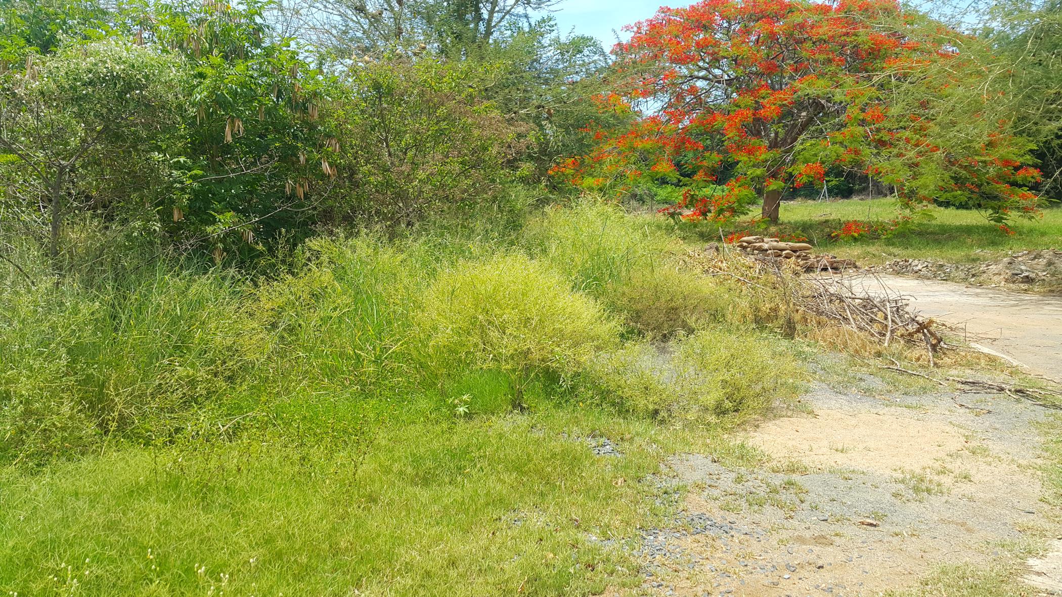 Vacant land for sale in Malelane - 1NK1413962