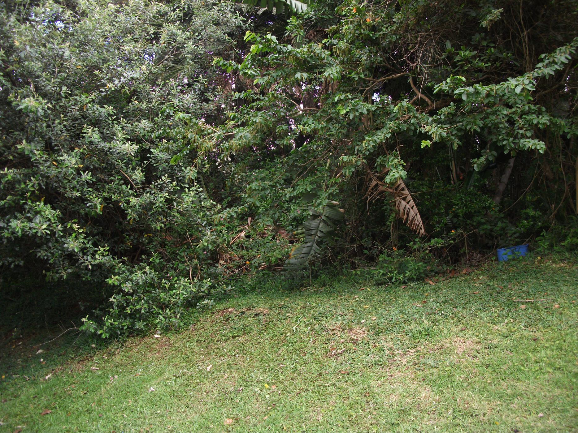 Vacant land for sale in Trafalgar - 1PD1414194