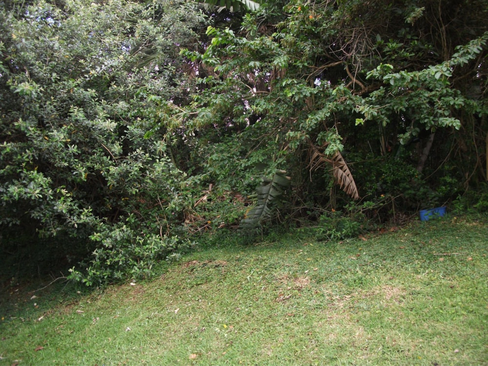 Vacant land for sale in Trafalgar - 1PD1414194