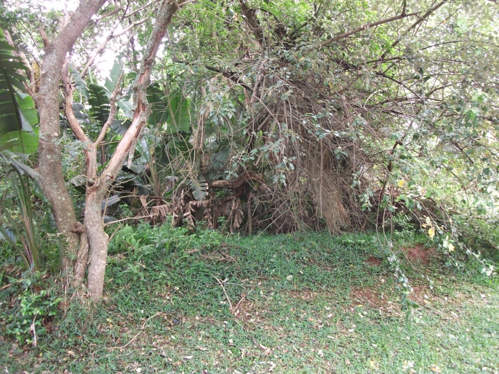 Vacant land for sale in Trafalgar - 1PD1414194