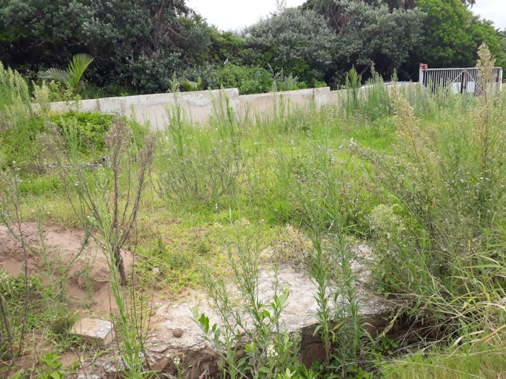 Residential vacant land for sale in Port Edward - 1PD1416840