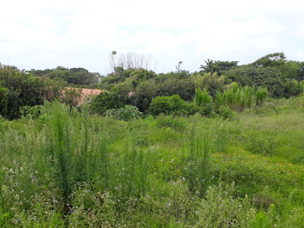 Residential vacant land for sale in Port Edward - 1PD1416840