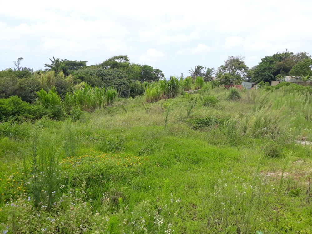 Residential vacant land for sale in Port Edward - 1PD1416840
